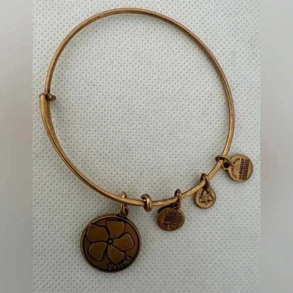 Alex and Ani | Friend charm bracelet - Picture 1 of 13